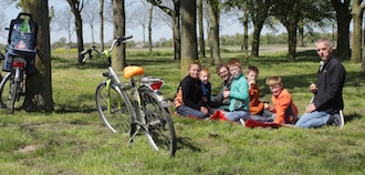 picnic