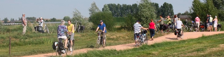 Fietsers in De Steendert